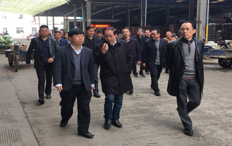 2017年3月16日下午，嘉興市委常委、常務副市長樓建明帶領市級相關部門負責人視察嘉興蔬菜批發(fā)市場