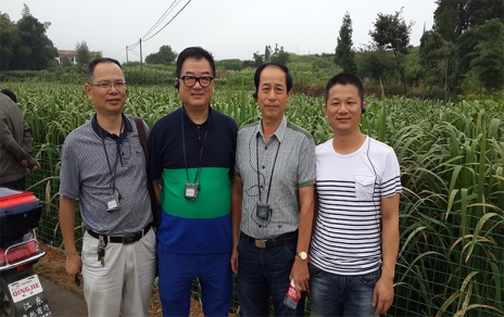 2014年8月，中國蔬菜流通協(xié)會會長戴中久與公司、市場領導一起考察蔬菜基地