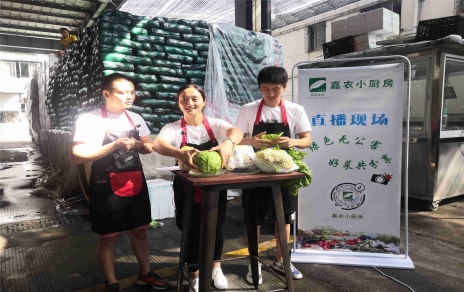 創(chuàng)意直播帶貨,本期專欄：蘭州高原夏菜！