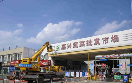 進(jìn)無止境，“嘉農(nóng)?蔬菜人”